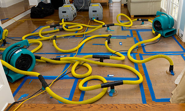 Professional Water Damage Restoration technician working in Union Bridge, MD